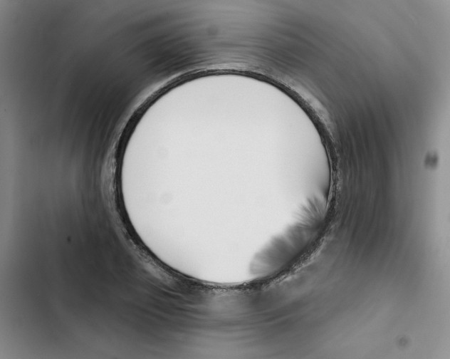 X0000102870933200809151232