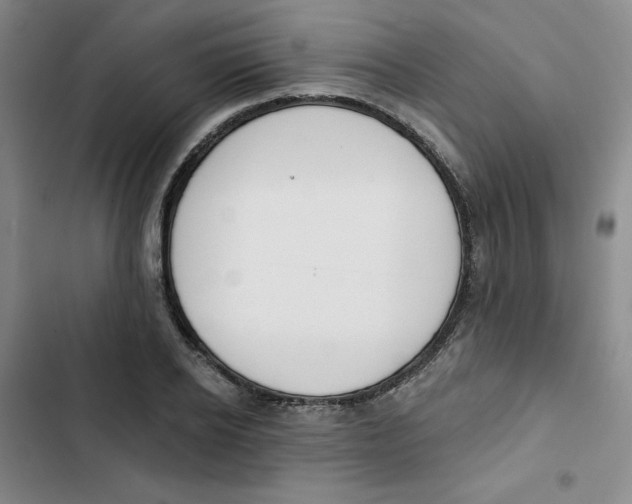X0000102870934200809151232