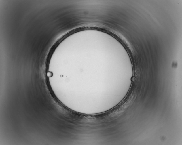 X0000102870935200809151232