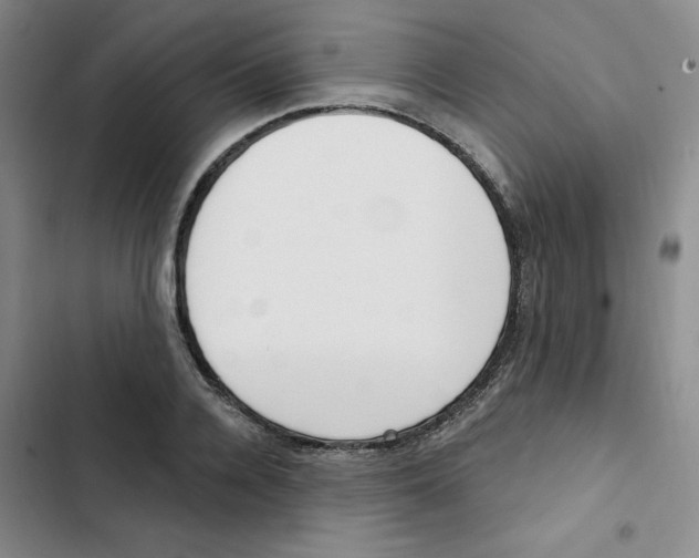X0000102870936200809151232