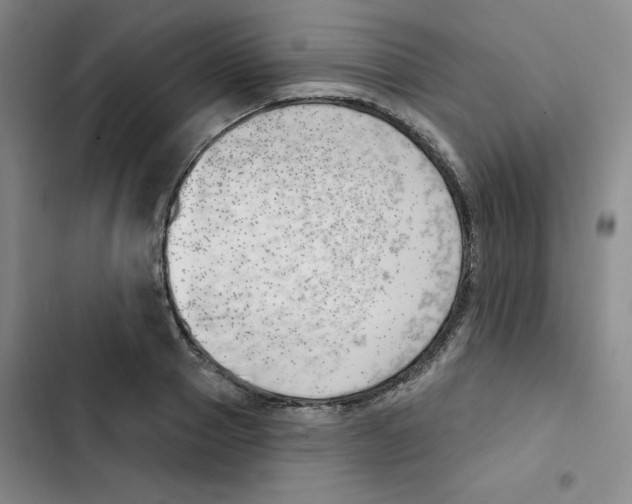 X0000102870937200809151232