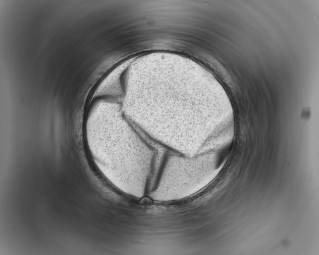 X0000102870938200809151232