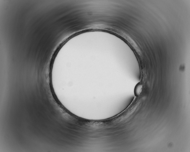 X0000102870939200809151232