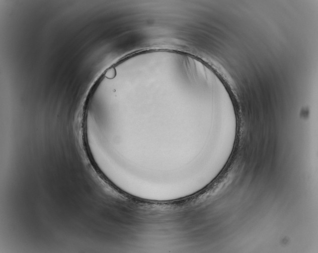 X0000102870941200809151232