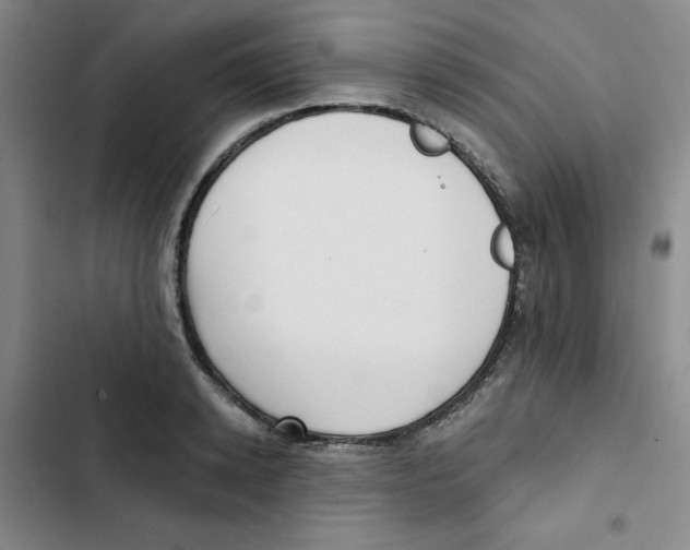 X0000102870942200809151232