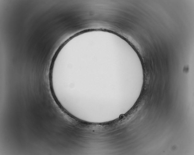 X0000102870943200809151232