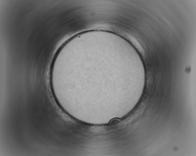 X0000102870944200809151232