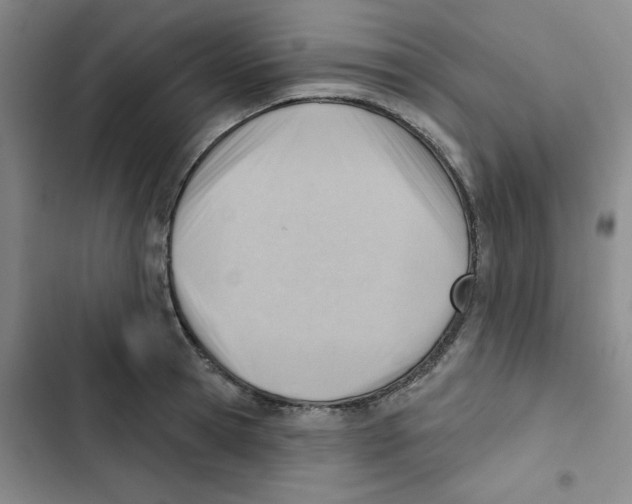 X0000102870945200809151232