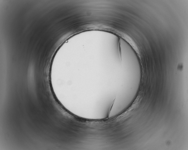 X0000102870946200809151232