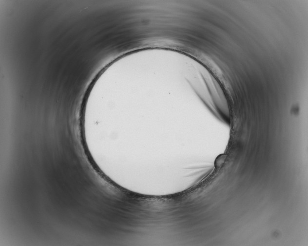 X0000102870947200809151232
