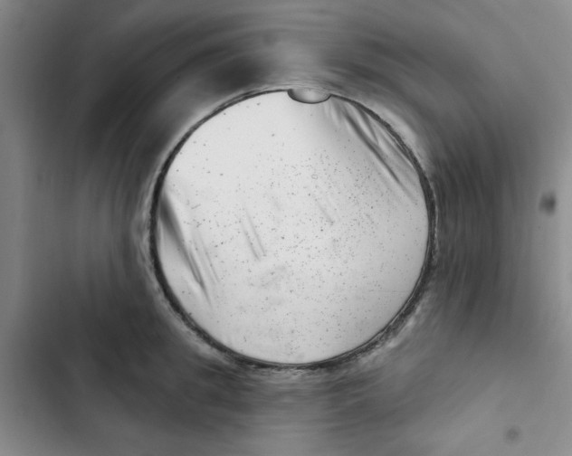 X0000102870949200809151232