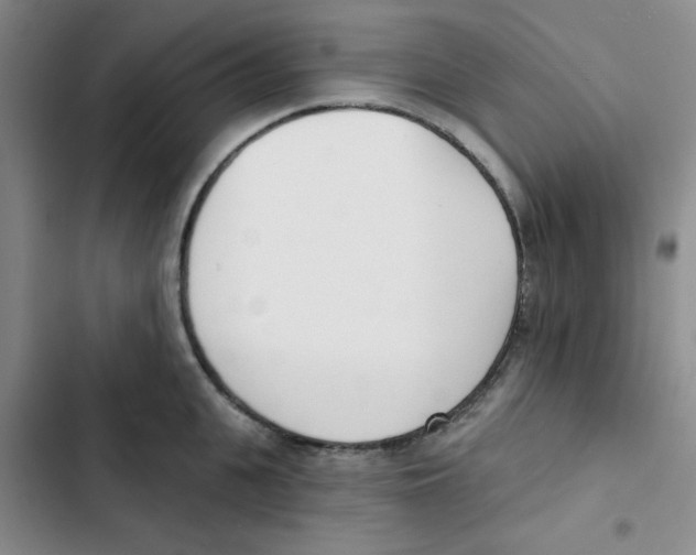 X0000102870951200809151232