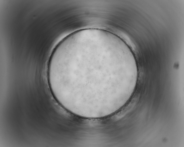 X0000102870952200809151232