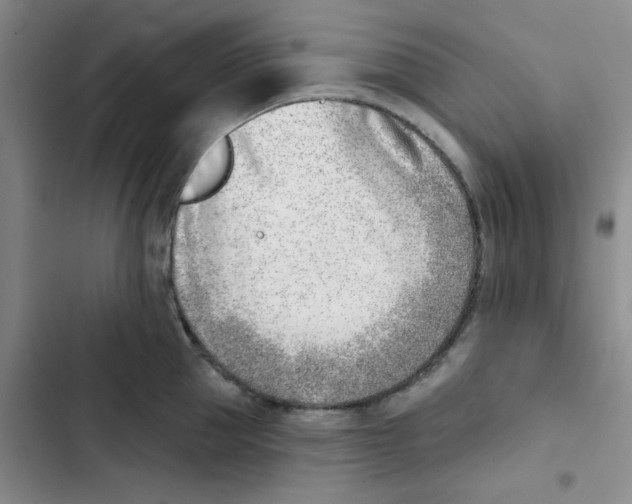 X0000102870953200809151232