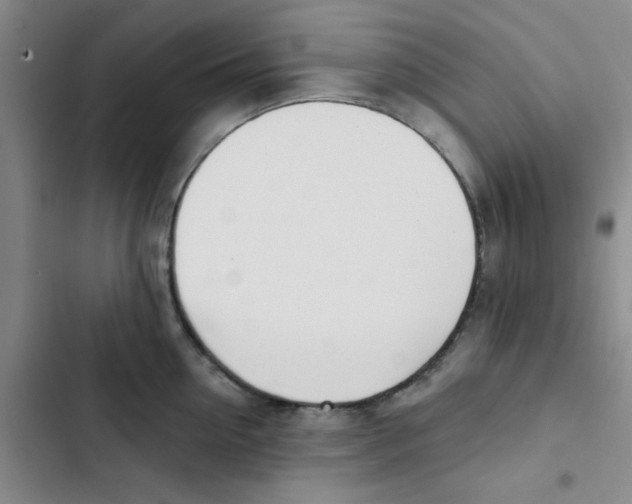 X0000102870954200809151232