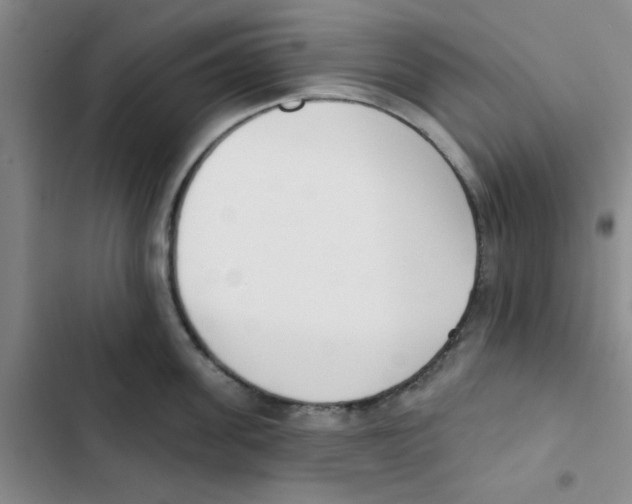 X0000102870955200809151232