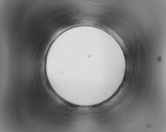 X0000102870956200809151232