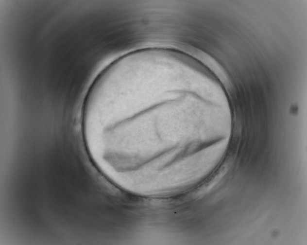 X0000102870958200809151232