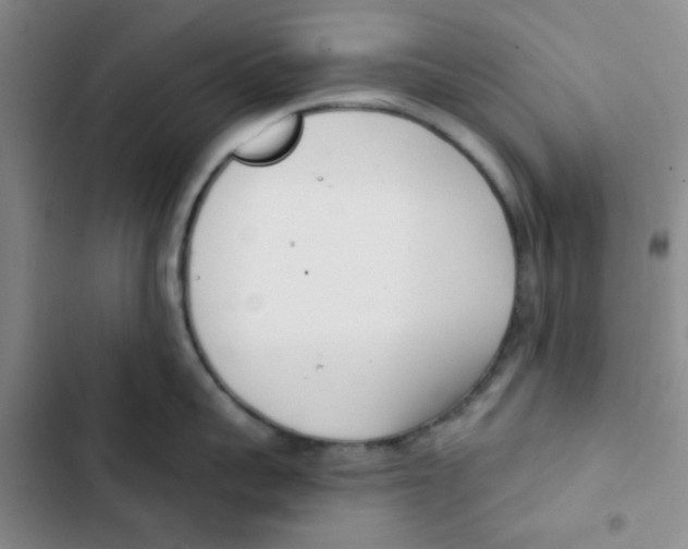 X0000102870959200809151232