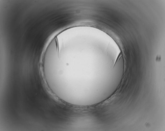 X0000102870960200809151232