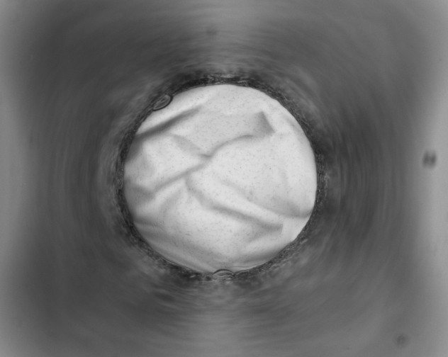 X0000102870961200809151231