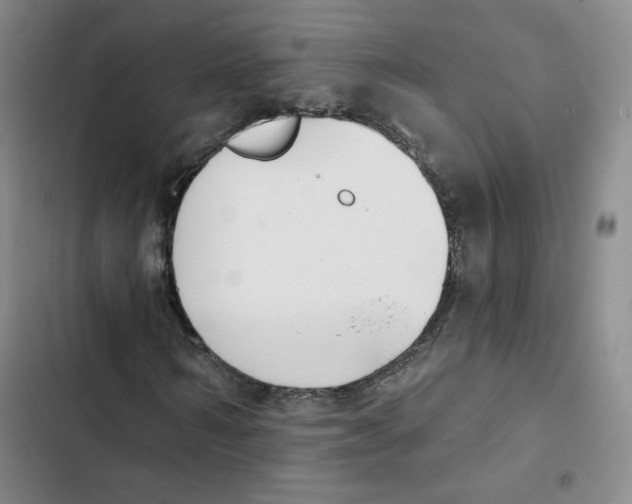 X0000102870962200809151231