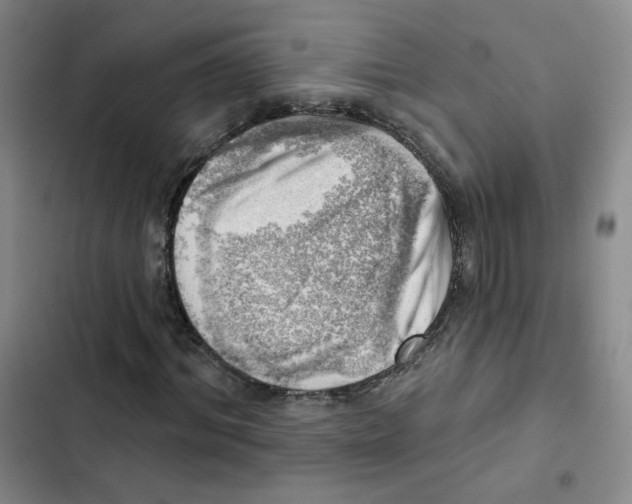 X0000102870964200809151231