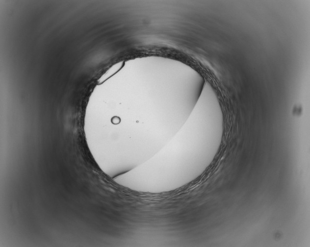X0000102870965200809151231