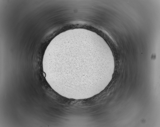 X0000102870967200809151231
