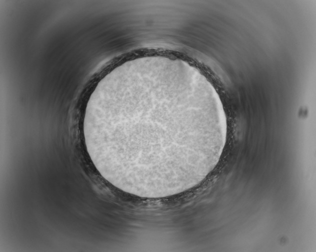 X0000102870968200809151231