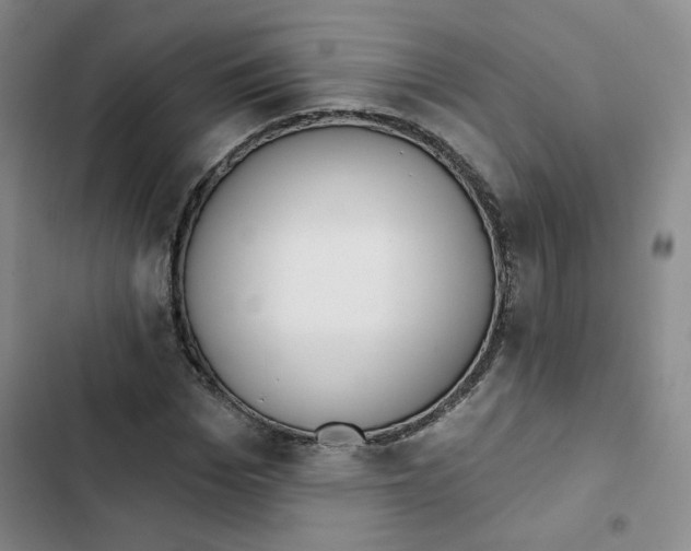 X0000102870969200809151231