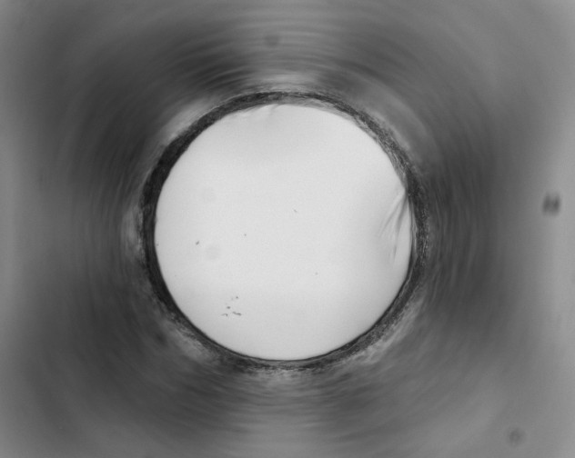 X0000102870970200809151231