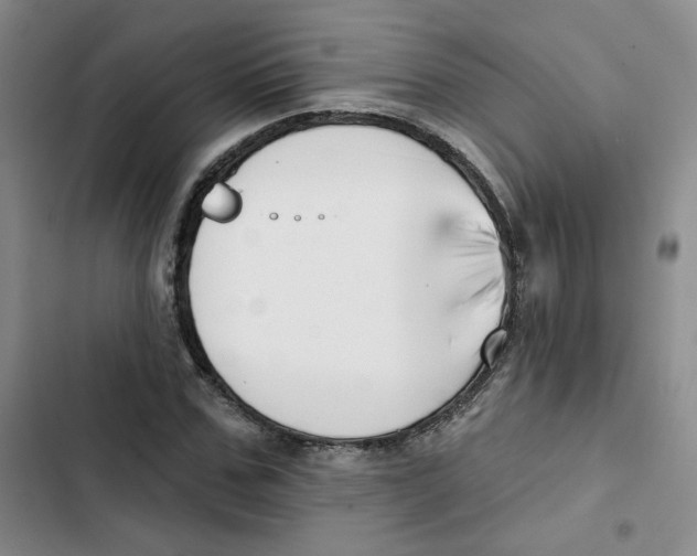 X0000102870971200809151231