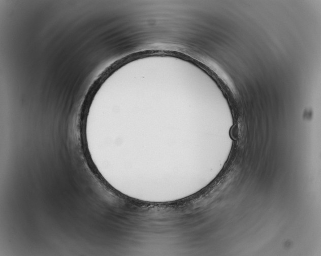 X0000102870972200809151231