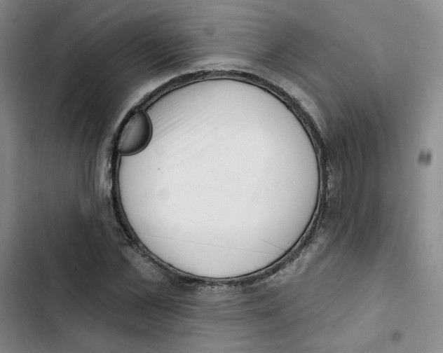 X0000102870973200809151231