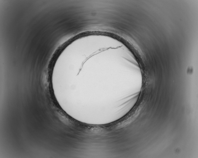 X0000102870974200809151231