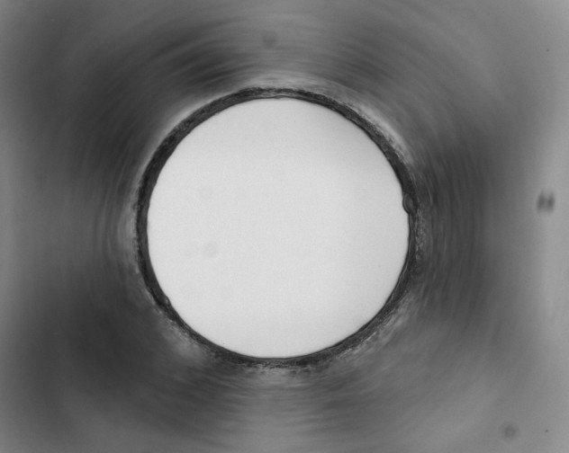 X0000102870976200809151231