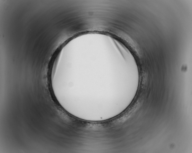X0000102870978200809151231