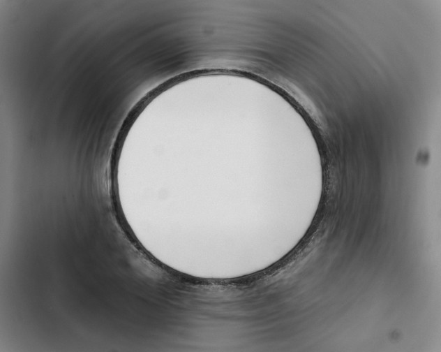 X0000102870980200809151231