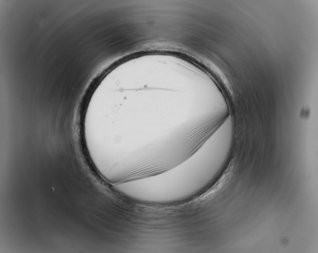 X0000102870981200809151231