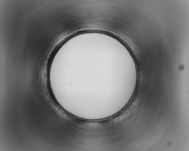 X0000102870982200809151231