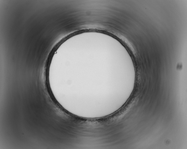 X0000102870983200809151231