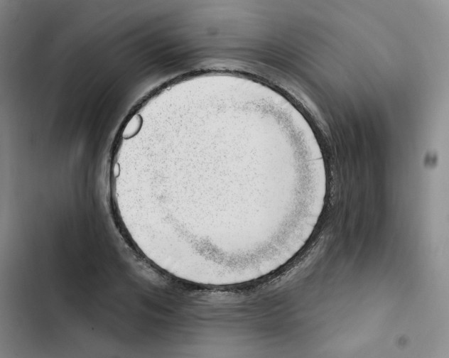 X0000102870984200809151231