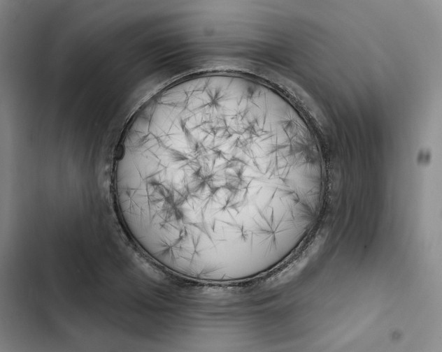 X0000102870985200809151231