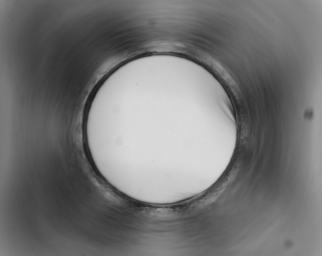 X0000102870986200809151231