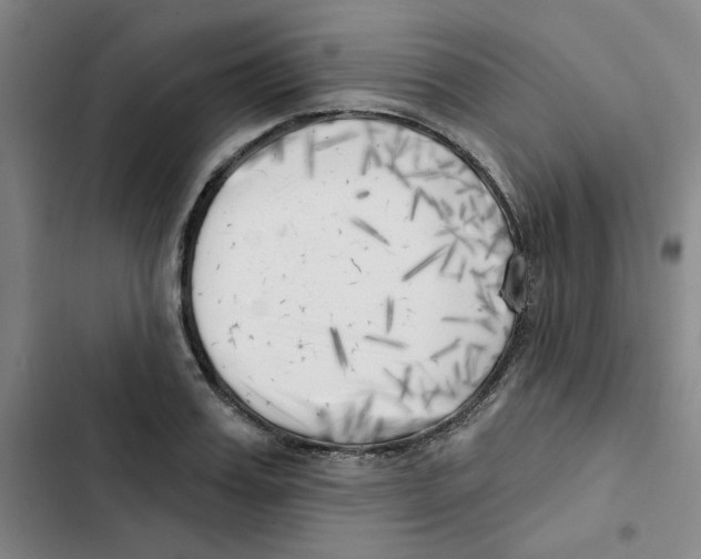 X0000102870987200809151231
