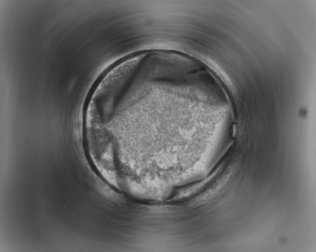 X0000102870988200809151231