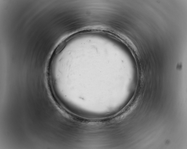 X0000102870989200809151231