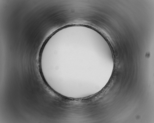 X0000102870990200809151231