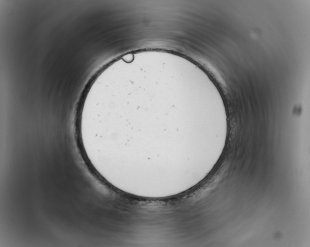 X0000102870991200809151231